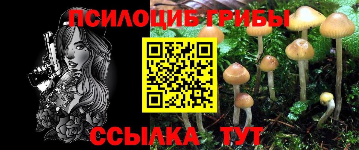 Галлюциногенные грибы ЛСД  Вход с VPN  Советская Гавань 